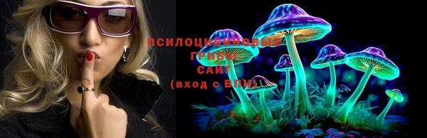 дмт Белокуриха
