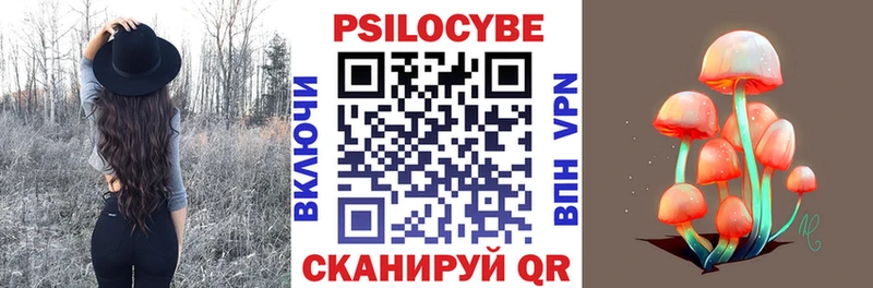 купить цена Омск Галлюциногенные грибы MAGIC MUSHROOMS